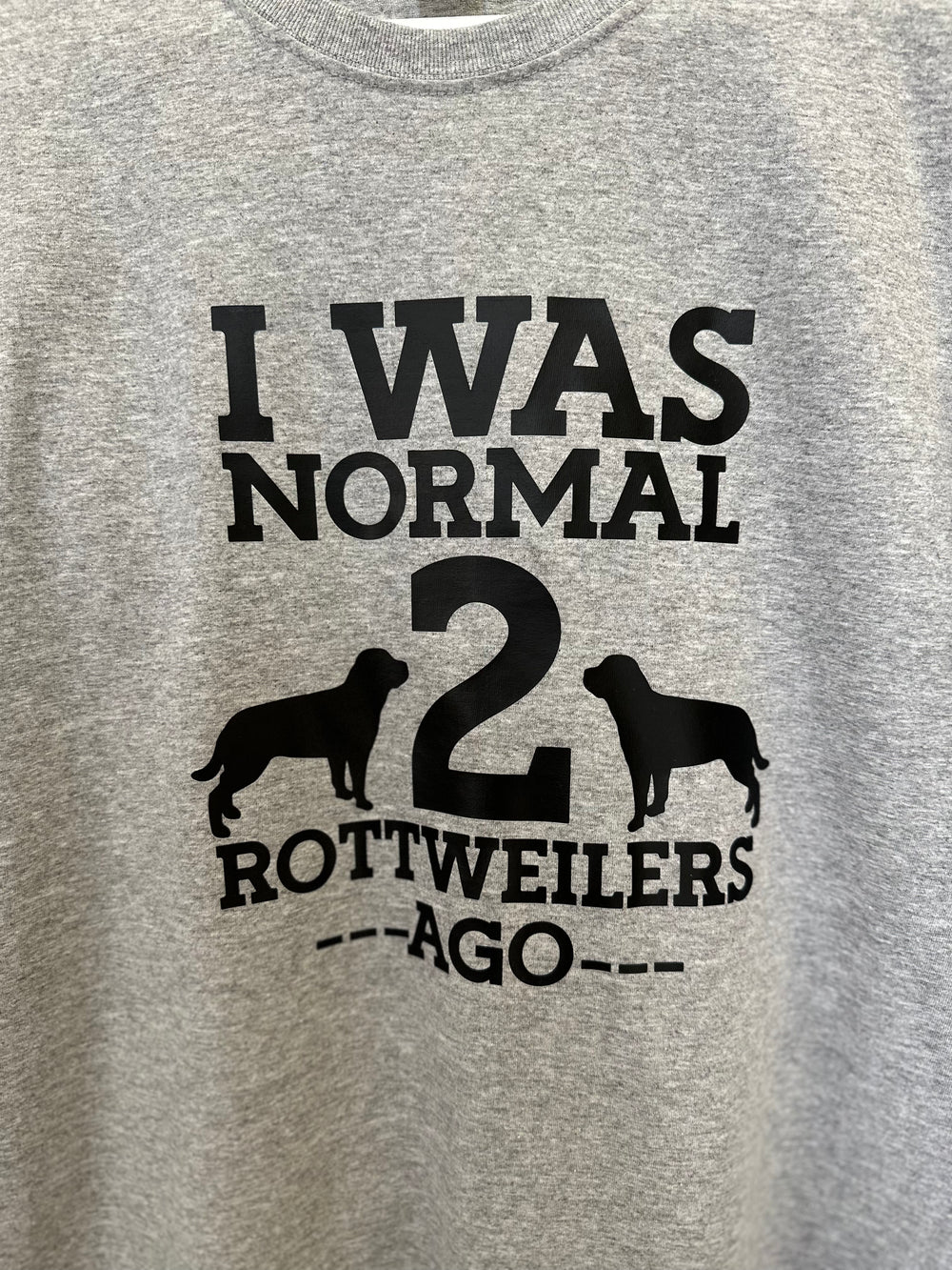 I was normal 2 Rottweilers ago | T SHIRT | HOODIE product image